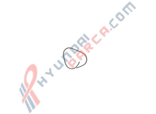 SOL ARKA KAPI ŞASE FİTİL ELANTRA 83110-F20004X-MOBIS